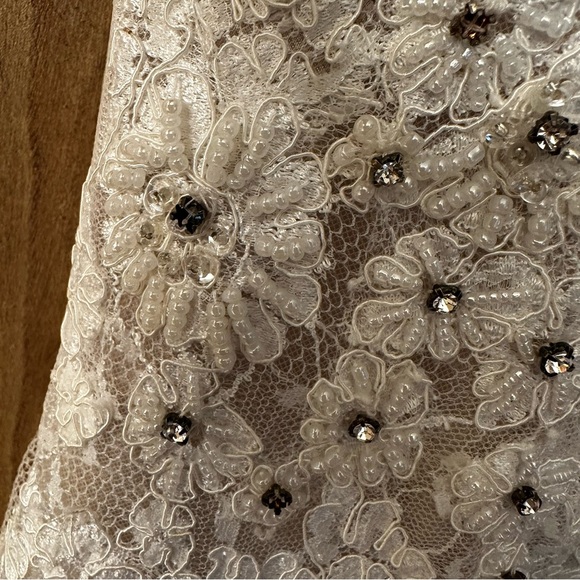 Wtoo Sisi Gown/11525 in Ivory Parisian Lace with Topaz Charmeuse Lining size 2 - Picture 14 of 15